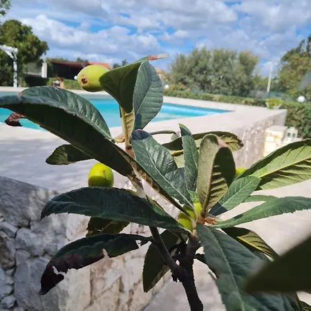 Guest house Leale Plemmirio
